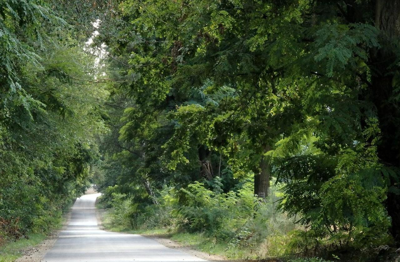 Godzisz - Domek Rekreacyjny Sobolew Buitenkant foto