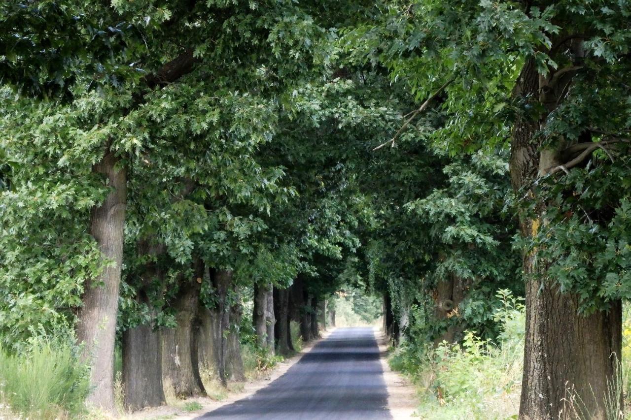 Godzisz - Domek Rekreacyjny Sobolew Buitenkant foto